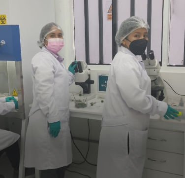 Investigación FITOLAB